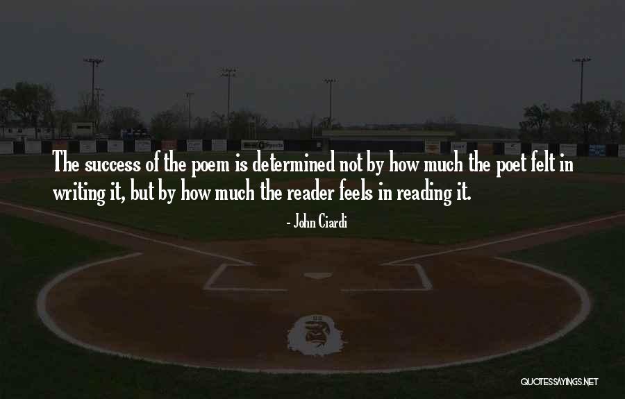 Hester Prynne's Beauty Quotes By John Ciardi Hester Prynne's Beauty Quotes By John Ciardi