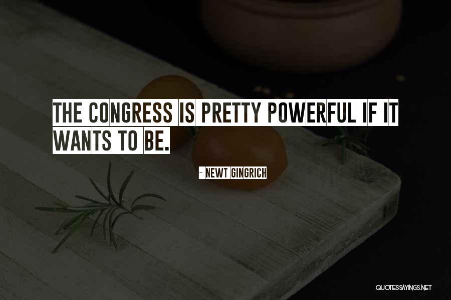 Hetem Ramadani Quotes By Newt Gingrich Hetem Ramadani Quotes By Newt Gingrich