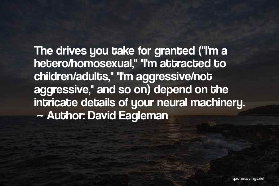 Hetero Quotes By David Eagleman