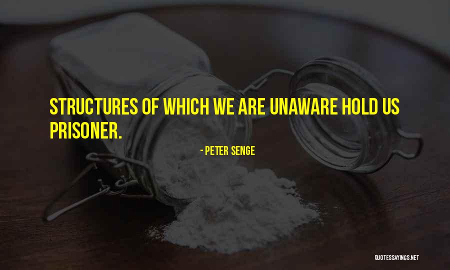 Heterodoxy In A Sentence Quotes By Peter Senge
