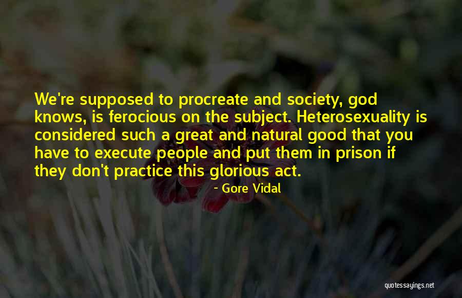 Heterosexuality Is Quotes By Gore Vidal Heterosexuality Is Quotes By Gore Vidal