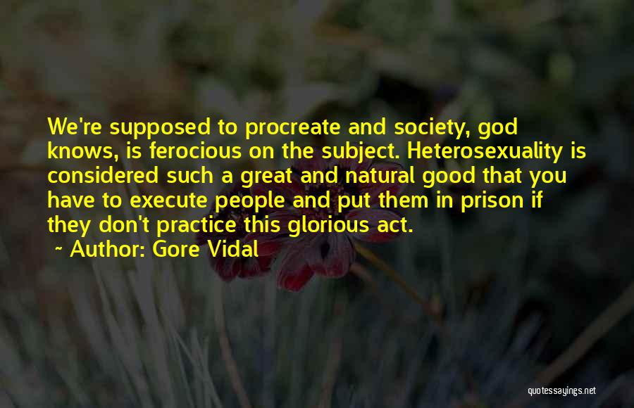 Heterosexuality Quotes By Gore Vidal