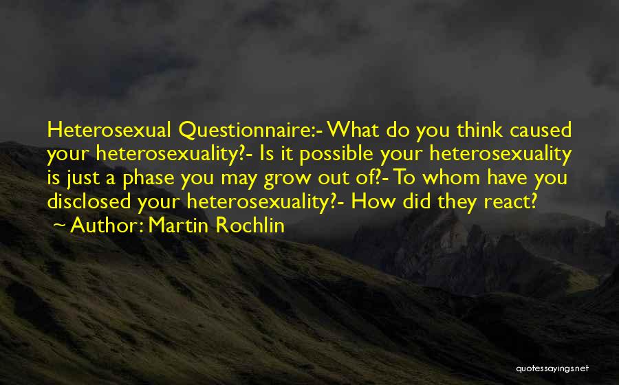 Heterosexuality Quotes By Martin Rochlin