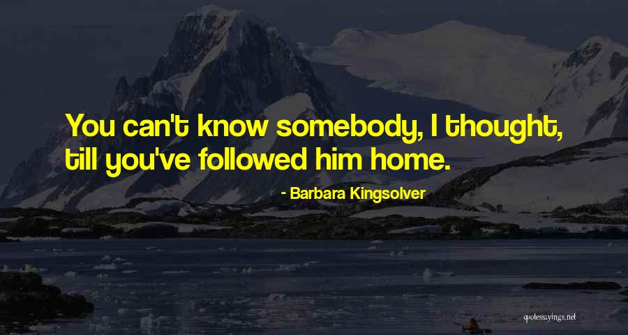 Hewed Define Quotes By Barbara Kingsolver Hewed Define Quotes By Barbara Kingsolver