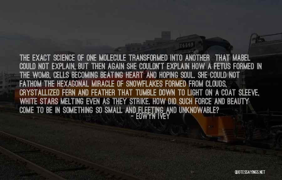 Hexagonal Clouds Quotes By Eowyn Ivey Hexagonal Clouds Quotes By Eowyn Ivey