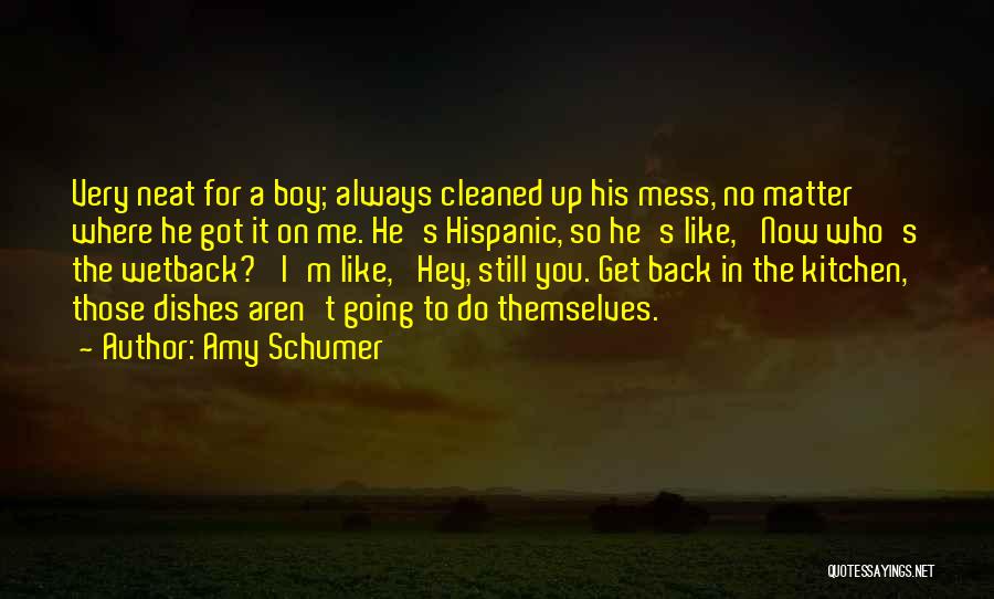 Hey Boy Quotes By Amy Schumer