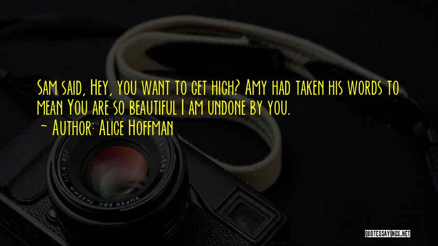 Hey I Love You Quotes By Alice Hoffman