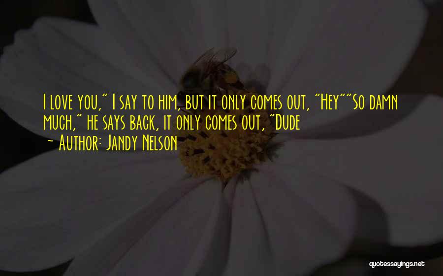 Hey I Love You Quotes By Jandy Nelson