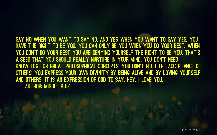 Hey I Love You Quotes By Miguel Ruiz