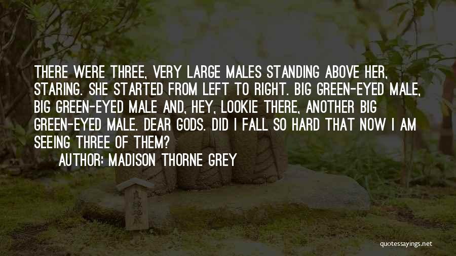 Hey Now Quotes By Madison Thorne Grey