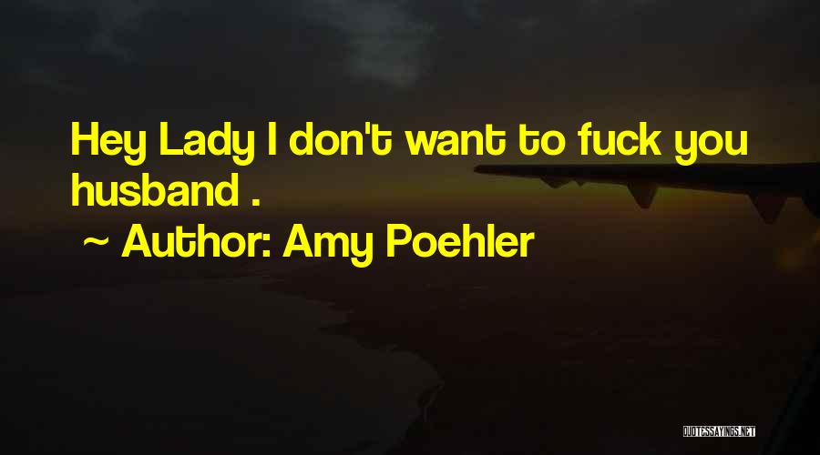 Hey There Funny Quotes By Amy Poehler