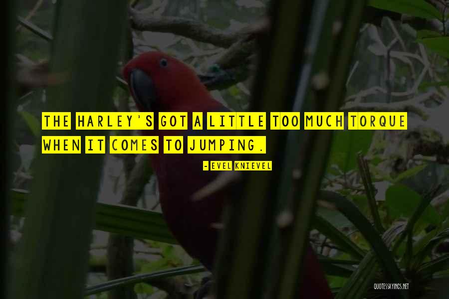 Heyashleyg Quotes By Evel Knievel Heyashleyg Quotes By Evel Knievel