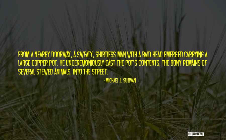 Heyboer Output Quotes By Michael J. Sullivan Heyboer Output Quotes By Michael J. Sullivan