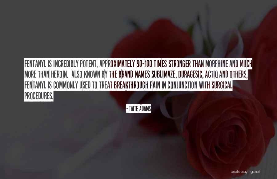 Heyecani Quotes By Taite Adams Heyecani Quotes By Taite Adams
