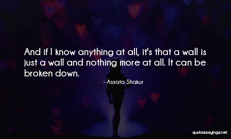 Heyeti Temsiliye Quotes By Assata Shakur Heyeti Temsiliye Quotes By Assata Shakur