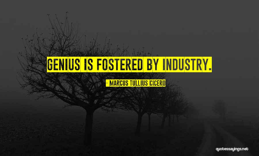 Heylen Gordijnen Quotes By Marcus Tullius Cicero Heylen Gordijnen Quotes By Marcus Tullius Cicero
