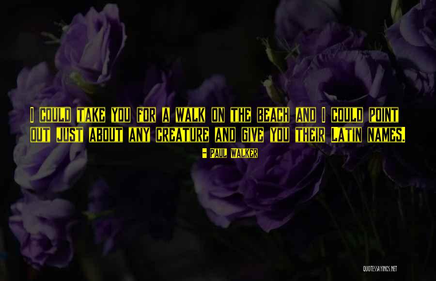 Heyvaert Sven Quotes By Paul Walker Heyvaert Sven Quotes By Paul Walker