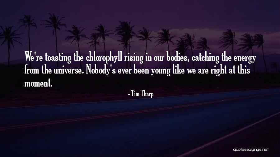 Hggi Quotes By Tim Tharp Hggi Quotes By Tim Tharp