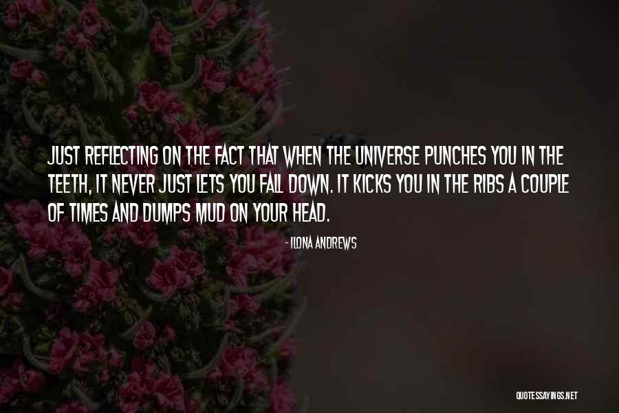Hi Kicks Quotes By Ilona Andrews Hi Kicks Quotes By Ilona Andrews