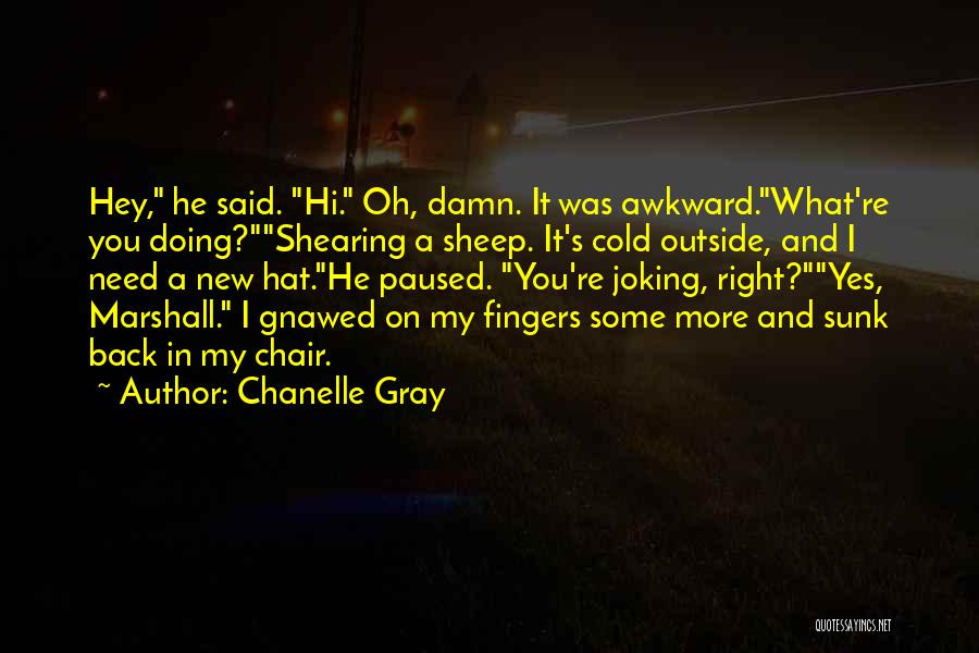 Hi You Doing Quotes By Chanelle Gray