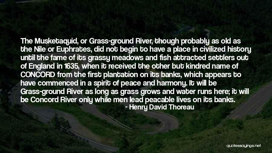 Hibble V Quotes By Henry David Thoreau