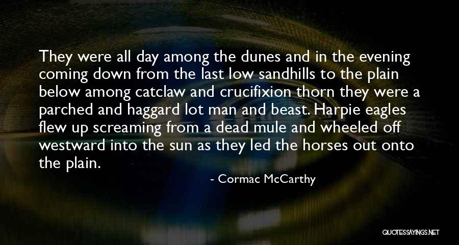 Hibernarium Quotes By Cormac McCarthy Hibernarium Quotes By Cormac McCarthy
