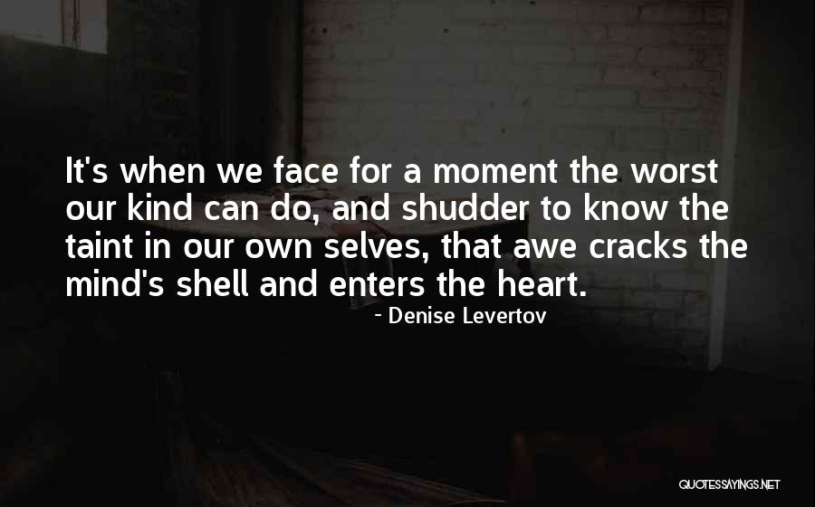 Hibernate Add Quotes By Denise Levertov Hibernate Add Quotes By Denise Levertov