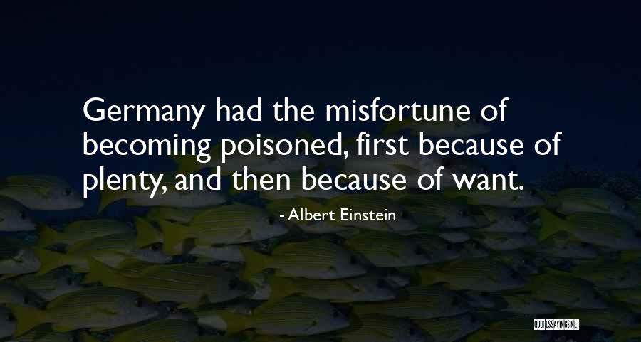 Hibernate Interview Quotes By Albert Einstein Hibernate Interview Quotes By Albert Einstein