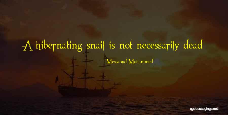 Hibernate Me Quotes By Messaoud Mohammed Hibernate Me Quotes By Messaoud Mohammed