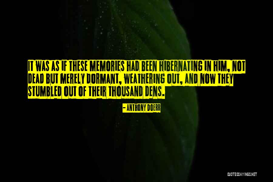 Hibernating Quotes By Anthony Doerr Hibernating Quotes By Anthony Doerr