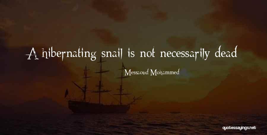 Hibernating Quotes By Messaoud Mohammed Hibernating Quotes By Messaoud Mohammed