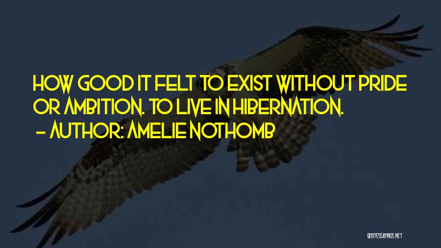 Hibernation Quotes By Amelie Nothomb