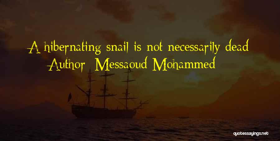Hibernation Quotes By Messaoud Mohammed