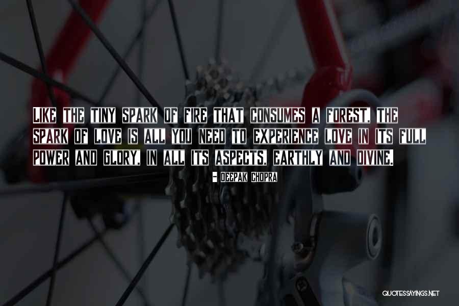 Hicaz Yemen Quotes By Deepak Chopra Hicaz Yemen Quotes By Deepak Chopra