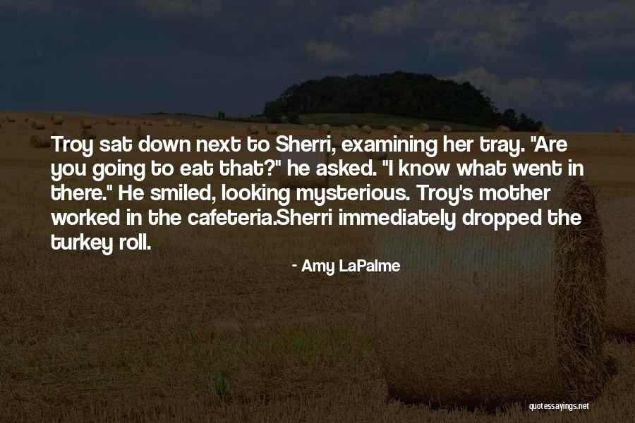 Hicham Abdessamad Quotes By Amy LaPalme Hicham Abdessamad Quotes By Amy LaPalme