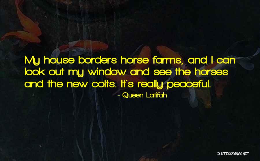 Hid In House Quotes By Queen Latifah