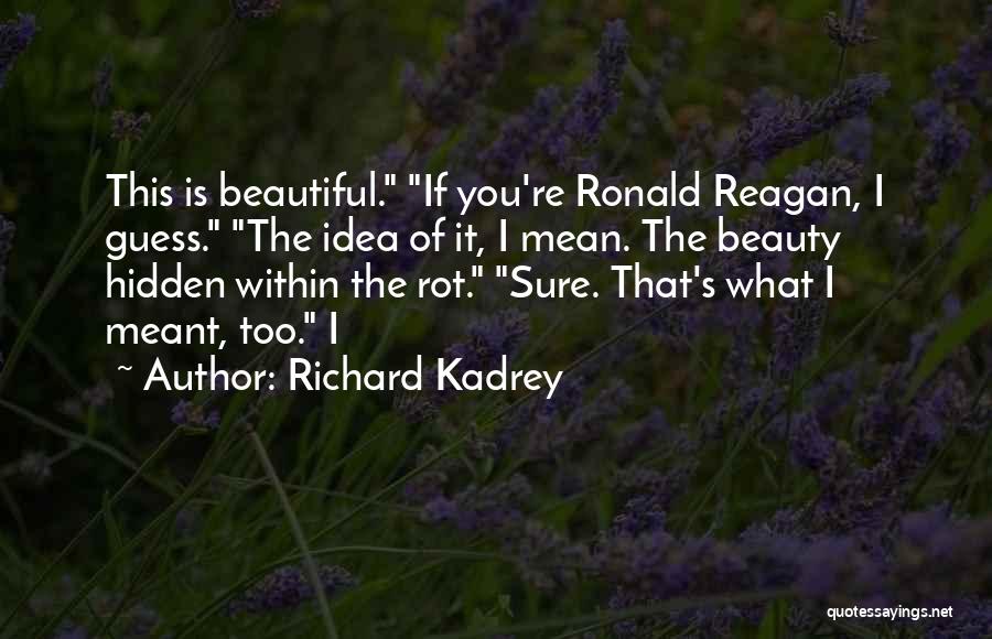 Hidden Beauty Quotes By Richard Kadrey