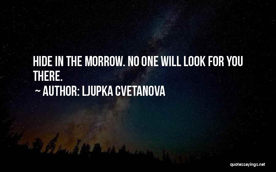 Hidden Identity Quotes By Ljupka Cvetanova