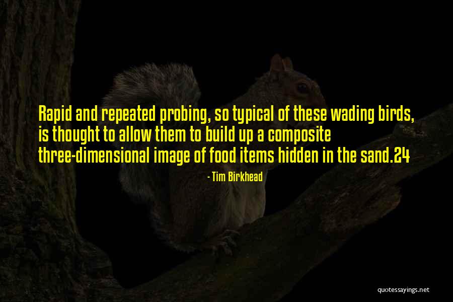 Hidden Image Quotes By Tim Birkhead Hidden Image Quotes By Tim Birkhead