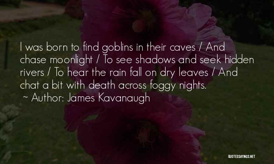 Hidden In The Shadows Quotes By James Kavanaugh