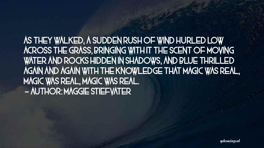 Hidden In The Shadows Quotes By Maggie Stiefvater