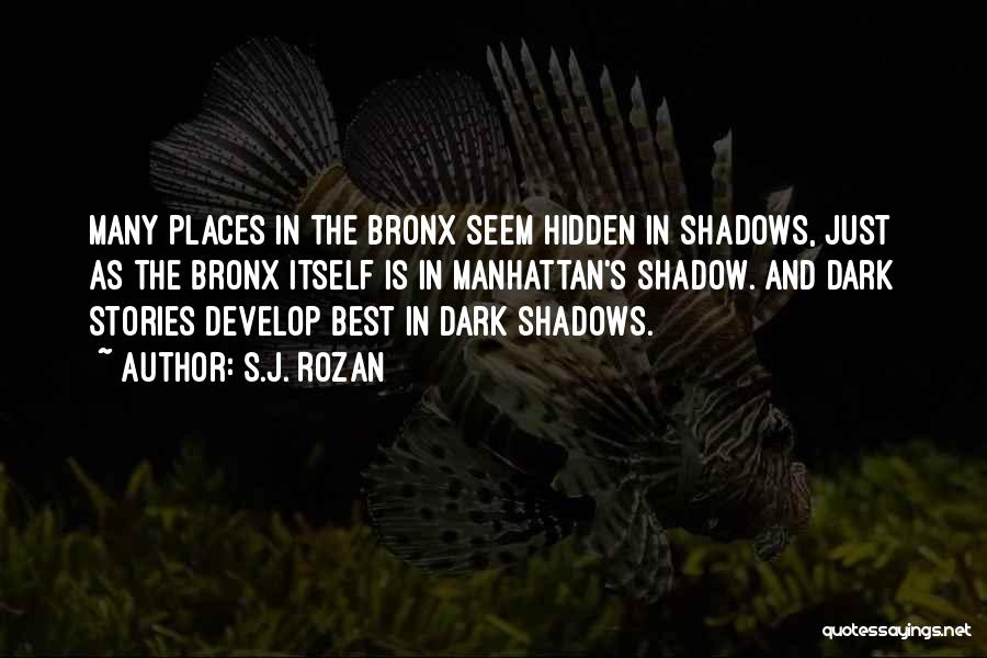 Hidden In The Shadows Quotes By S.J. Rozan