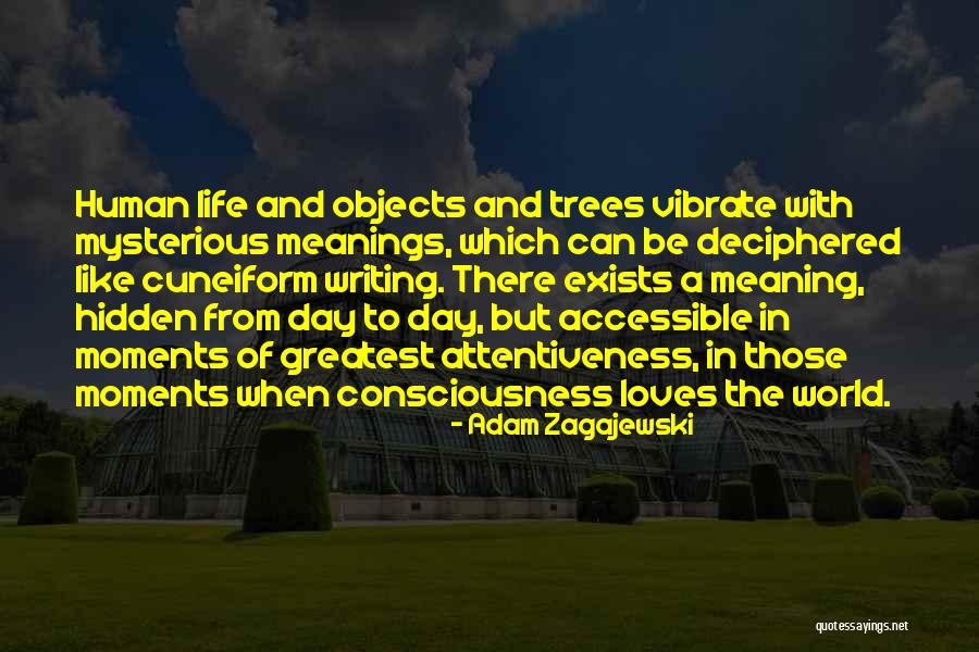 Hidden Meaning In Quotes By Adam Zagajewski Hidden Meaning In Quotes By Adam Zagajewski