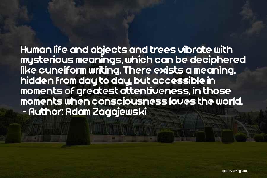 Hidden Meanings Quotes By Adam Zagajewski