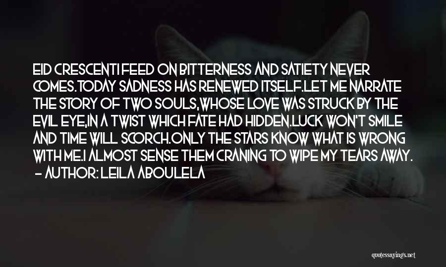 Hidden Sadness Quotes By Leila Aboulela