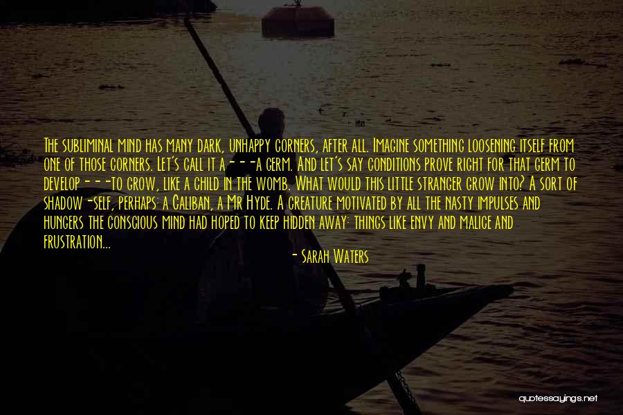 Hidden Self Quotes By Sarah Waters Hidden Self Quotes By Sarah Waters