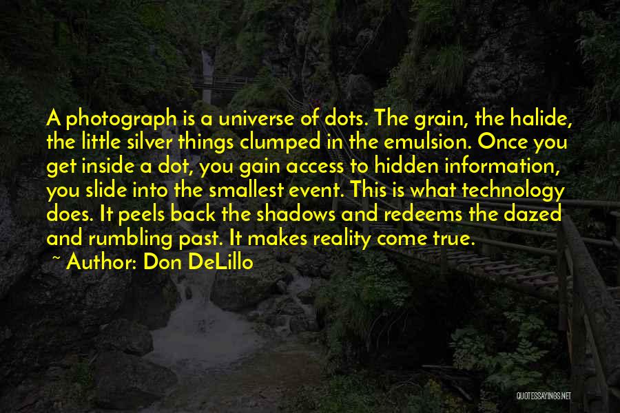 Hidden Things Quotes By Don DeLillo