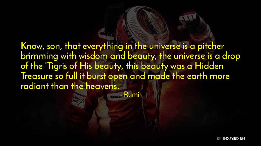 Hidden Treasure Quotes By Rumi Hidden Treasure Quotes By Rumi