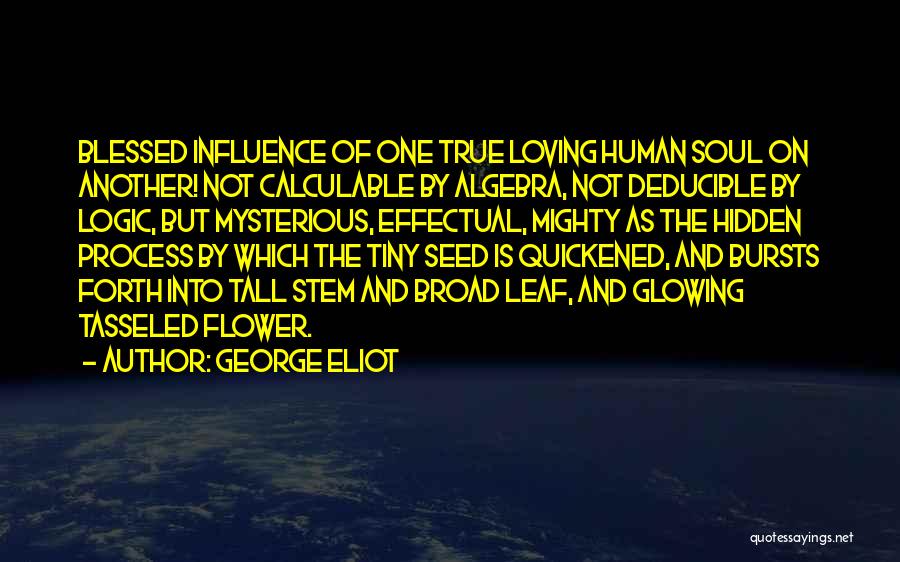 Hidden True Love Quotes By George Eliot