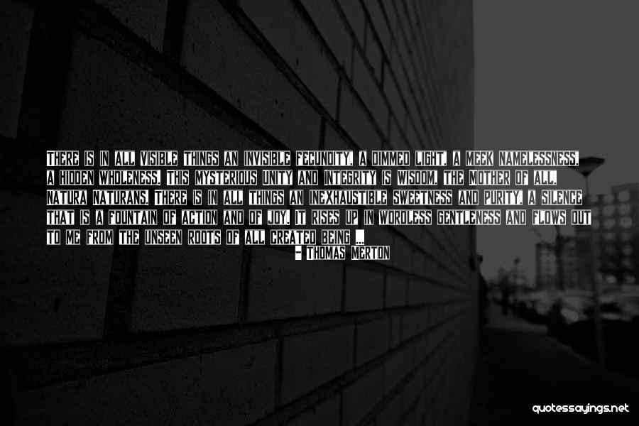 Hidden Wholeness Quotes By Thomas Merton Hidden Wholeness Quotes By Thomas Merton